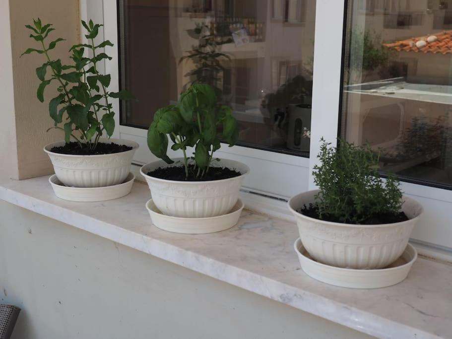 A Stone'S Throw From Everything Paphos Exterior foto